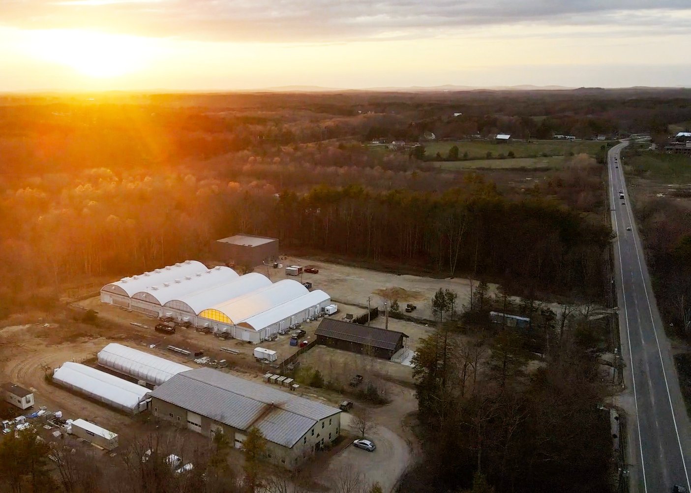 SweetDirt-Campus-1