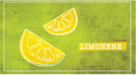 Terpene-Limonene